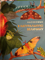 Насекомые в натуральную величину | Фогато Вальтер #3, Дарина з.