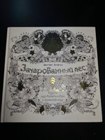 Зачарованный лес. Книга для творчества и вдохновения | Бэсфорд Джоанна #5, Елизавета С.