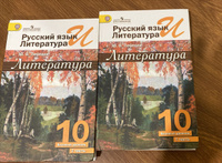 Литература. 10 класс. Учебник часть 2. Лебедев Ю. В. Просвещение. ФГОС | Лебедев Юрий Владимирович #1, Лейла М.