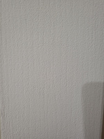 Краска ОLECOLOR моющаяся интерьерная для стен и потолков, без запаха, супербелая, Быстросохнущая, Акриловая, Водоэмульсионная, Матовое покрытие, 3 кг, Артикул: 4300001403 #4, Евгения Ш.