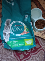 Сухой корм PURINA ONE для взрослых кошек живущих дома с индейкой и злаками (3кг + 3 кг) #1, Наталья М.