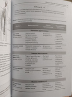 Анатомия мышц. Учебное пособие | Гурова Ольга Александровна, Козлов Валентин Иванович #7, Надежда Ч.