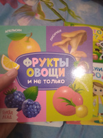 Книжки для малышей, набор 4шт, "Знакомимся с окружающим миром", Буква-Ленд, книги для малышей от 0 #7, Анастасия