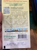 Гипсофила метельчатая многолетняя семена 3 упаковки / Неприхотливое, сильно ветвистое, ажурный шаровидный куст #35, Роза М.