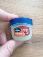 VASELINE Бальзам для губ LIP CARE с маслом какао (в баночке), 7 г #34, Ольга Р.