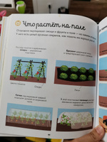 Большая энциклопедия. На ферме / Книга для детей про животных и природу | Жюгла Сесиль #6, Алена Т.