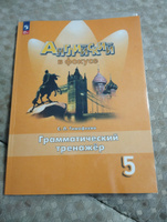 Английский в фокусе 5 класс. Грамматический тренажер к новому ФП. ФГОС | Тимофеева С. Л. #2, Наталья Л.