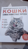 Самые известные породы. КОШКИ. Большая иллюстрированная энциклопедия | Ярощук Алина Игоревна #3, Владимир Ф.