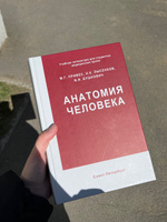 Анатомия человека. Привес М.Г. | Привес Михаил Григорьевич, Лысенков Николай Константинович #2, Элина М.