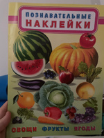 Комплект книг с познавательными наклейками #6, Светлана О.