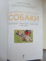 Дрессировка и воспитание собаки | Шкляев Андрей Николаевич #4, Владимир С.