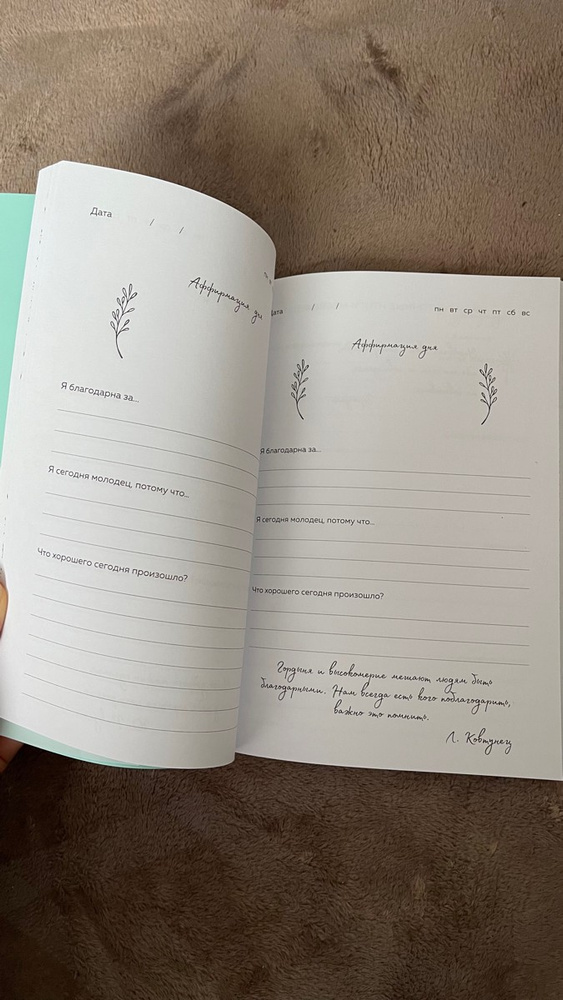 Дневник благодарности. 90 дней, которые станут началом удивительных ...
