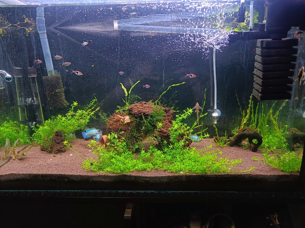 Светильник для аквариума FLOS PRO 300 WRGB 30 - 45 см 24W, IP68 с ...