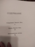 Большое летнее приключение | Патерсон Синтия, Патерсон Брайан #3, Елена К.