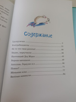 Женькин клад и другие школьные рассказы | Носов Игорь Петрович #24, Индира Д.