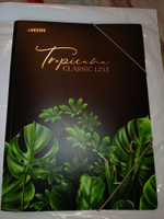 deVente, Папка на резинке Tropicana" A4 (240x320 мм) 400 мкм #25, Екатерина У.