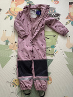 Қырылған қалпақтардың фотосы