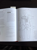 Анатомия йоги: атлас-раскраска. Визуальный гид по телу от структуры к осознанной практике | Солоуэй Келли #6, Галина К.