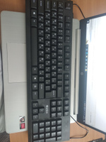Клавиатура проводная для пк и ноутбука Intro KU100 мембранная полноразмерная USB чёрная #1, Юлия К.