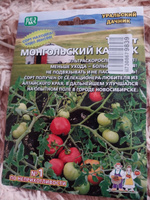 Томат МОНГОЛЬСКИЙ КАРЛИК, 1 пакет, семена 20 шт, Уральский Дачник, ультраскороспелый сорт #10, Валентина Ф.