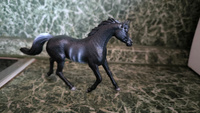 Фигурка Schleich 13981 Арабский жеребец #29, Сергей М.