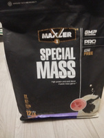 Гейнер Maxler Special Mass Gainer 12 lbs (5520 гр.) + повышенное содержание протеина, креатин моногидрат и BCAA - Клубника #34, Игорь Ю.