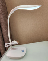 Светильник настольный светодиодный для чтения в комнату / LED Лампа лофт беспроводная и гибкая с USB для школьника #1, Дарья К.