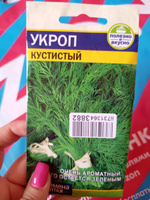 Укроп "Кустистый" семена Алтая для открытого грунта и теплиц, 2 гр #13, Александра М.