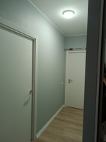 Краска для стен и потолка Dulux Professional Bindo7 'экстрапрочнаяцвет светло-серый Ral 7035 2,5 л #31, Светлана К.