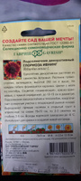 Семена ПОДСОЛНЕЧНИК ДЕКОРАТИВНЫЙ ГЛОРИОЗА ИВНИНГ (0,5 грамм) Гавриш #79, Лидия И.