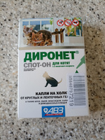 Лекарственное средство Диронет спот-он, при гельминтозах и арахно-энтомозах котят, 1,5 мл #2, Наталья Ц.