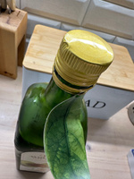 Масло Avocado oil №1 Масло авокадо, гипоаллергенное, 1 л #4, Елена Н.