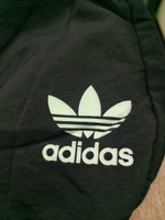 Брюки спортивные adidas Originals #2, Игорь С.