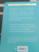 Птицы России  Большая иллюстрированная энциклопедия. | Матанцев Александр Николаевич #6, Александр К.