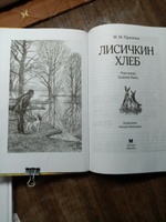 Лисичкин хлеб | Пришвин Михаил Михайлович #1, Любовь Т.