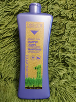 Профессиональный шампунь c маслом виноградной косточки Salerm Shampoo grapeology от Biokera, 1000 мл #36, Милана