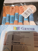 Нитки для вышивания мулине Gamma/ГАММА "СПЕКТР" 100% хлопок 7x8 м beige #17, Айгуль К.