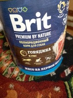 Влажный корм BRIT 850гр для любых собак Premium by Nature Индейка и утка #16, Анна С.