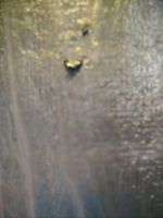Подложка 1.2х25м 5мм(30м2) фольгированный вспененный полиэтилен, утеплитель под ламинат и паркет, теплоизоляция #4, Екатерина П.