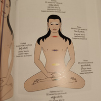 Точки тибетской медицины. Практическое пособие | Ченагцанг Нида #1, Сергей Б.