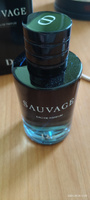 Парфюм Sauvage 100ml #33, Александр