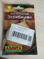 Лук Эксибишен семена, репчатый лук Агрофирма Аэлита 0,1г #28, Людмила Л.