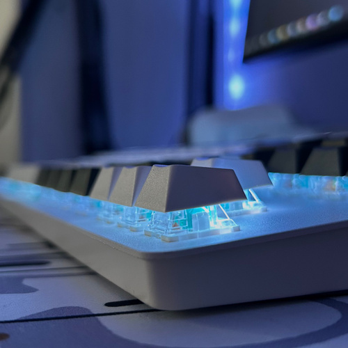 Механическая клавиатура Dark Проджект One купить по низкой цене: отзывы ...