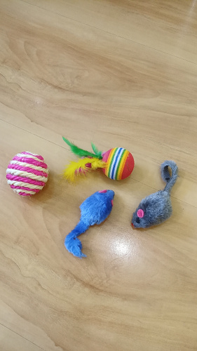 Игрушки для кошек, для котят, для котов. Мышка, шарик, дразнилка, с ...