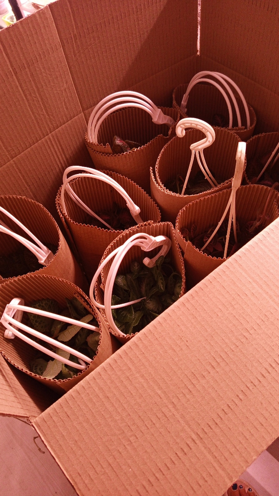 Гофролист Howard, 2500 х 50 - купить по выгодной цене в интернет ...