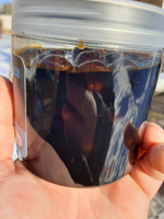 NGB Карповые бойлы для рыбалки тонущие насадочные Squid juice/кальмар-клюква 20 мм (банка 300 гр) #8, Александр Н.