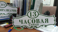 Адресная табличка на дом "Домовой знак" бело- зелёная, 430х190 мм., из алюминиевого композита, УФ печать не выгорает #8, Светлана Б.