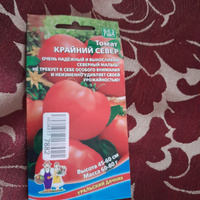 Томат КРАЙНИЙ СЕВЕР, 1 пакет, семена 20 шт, Уральский Дачник #31, Любовь С.