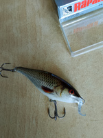 Воблер для рыбалки RAPALA Shallow Shad Rap 07, 7см, 7гр, цвет ROL, плавающий #2, Сергей К.