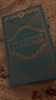 Академия вампиров. Книга 2. Ледяной укус | Мид Райчел #1, ПД УДАЛЕНЫ